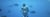 blog-aquarium-700x240