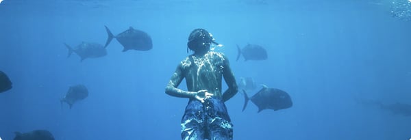blog-aquarium-700x240