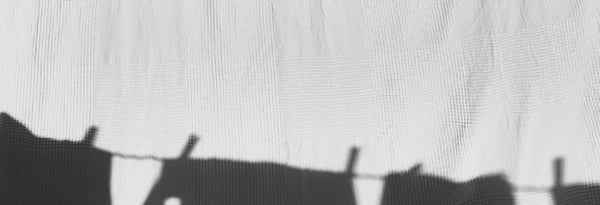 blog-wash-700x240