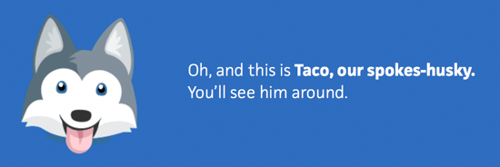 drip-campagne-voorbeeld-trello-taco-the-spokes-husky.png