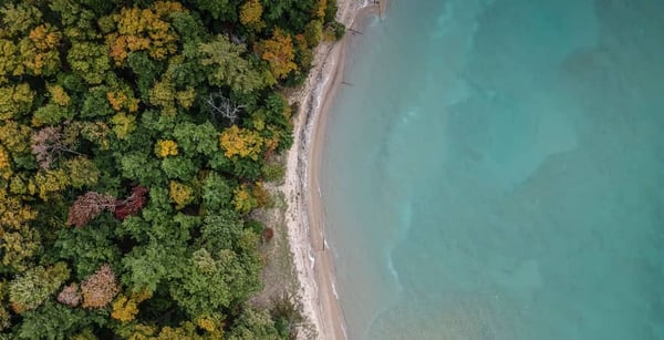 Mother earth is healing: How Covid-19 affects our nature positively.
