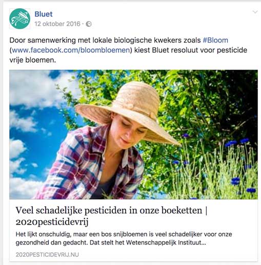 online-marketing-social-media-voorbeeld-bluet.png