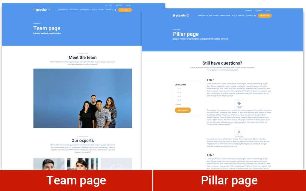 popular pro theme